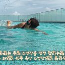 2026년 2월 7일~11일 다낭 여행중 Hotel Rooftop Pool 이미지