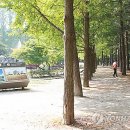 주식회사 남이섬