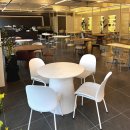 피피푸푸 이미지