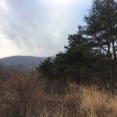 포항시북구92 이미지