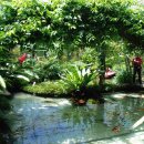 나비농장 이미지