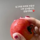미로네일(미로스타뷰티)
