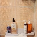 핀란드빌리지 이미지