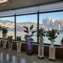 세무회계광연