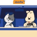 멍타냥 이미지