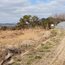 함평공설운동장 이미지