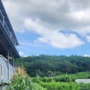 도덕2리 이미지