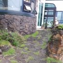 에너벨리 이미지