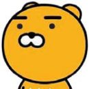 라이언