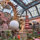 어스온어스민박 | 미국 서부 여행 5] 라스베가스 북쪽 스트립 탐방 - Urth Cafe 어스카페, Sphere 스피어, 하이롤러 대관람차