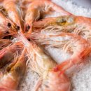 천사수산 이미지