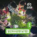 세븐일레븐 일산호수마을점 | 일산호수공원 어린이 숲체험으로 가을 주말맞이 완벽하게! 깨비의숲마을 체험 후기