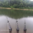 이현소류지 이미지