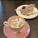 [도쿄 여행#1] 긴자 고양이 라떼/ Ken‘s Coffee Shop /켄즈 커피 방문 후기 /긴자 카페 추천