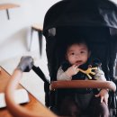 어반노매드 | 프레임과 시트를 내 마음대로 조합하는 커스터마이징 유모차, 무치 이보 어반 노매드!