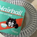 포캣(for cat) 이미지