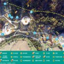 애플라인드 본사에 전시되어 있는 올림픽 포스터 이미지