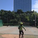 로드 Daum카페