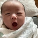 오구오구홈데코 | [육아일기]54일~60일/신년맞이통잠/옹알이/집꾸미기/산성헤이든씬시어/이마트소고기