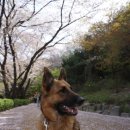 호텔훈트(Hotel Hunde) 이미지