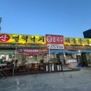 산벌떡낙지
