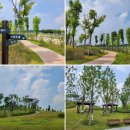 고래공원 이미지