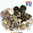 나들스토어 | 캠핑 홈 조개구이 조개찜 모듬조개 &#34;두팜&#34;내돈내산 솔직 후기