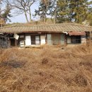 영천 만취당 고택 이미지