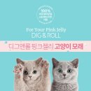 핑크젤리 이미지