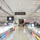 디카포유