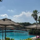 리라소프트 | [신혼여행 일기] 0. 튀르키예🇹🇷-조지아(그루지아)🇬🇪 14박 16일 여행 후기 요약