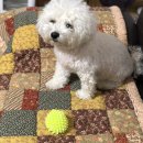 옥천전통냉면 이미지