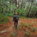 나루터로1-9 이미지