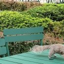 소호빈티지