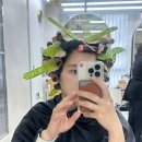 프로디헤어 | 제주 노형동 미용실 프로디 헤어 중단발 젤리 펌 후기