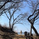 나무그늘한의원 | 쓸모없음의 쓸모