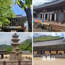 숲속계곡 쉴만한물가 | 밀양여행 가볼만한곳 표충사 방문후기
