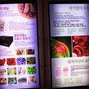 힐링엔젤스울