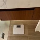 베어짐(BEAR GYM) | 신라호텔서울 제네시스 멤버쉽으로 다녀온 디럭스룸 3인 영빈관 뷰 룸서비스 / 조식 후기