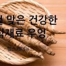 우엉의효능 우엉 우엉조림효능 이미지