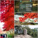 SK관문주유소 이미지