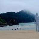 낙동강 하구 기행 이미지