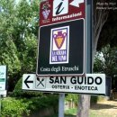 와인의 이해 이미지