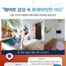 데일리풀 이미지