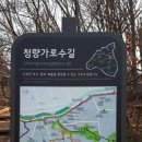 장안2제방 이미지