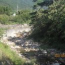 간전중앙로 이미지