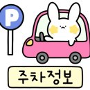 한라돈이 익는 마을애 이미지