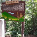 칠보산숲길 이미지