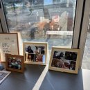 어흘리 | [왕산어흘리246] 강릉 대형정원 카페 애견동반 🐶