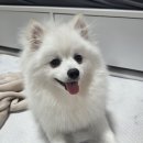 서진동물병원 이미지